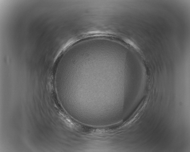X0000080121357200612151702