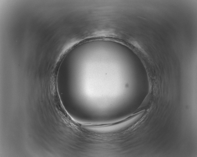 X0000080121358200612151702