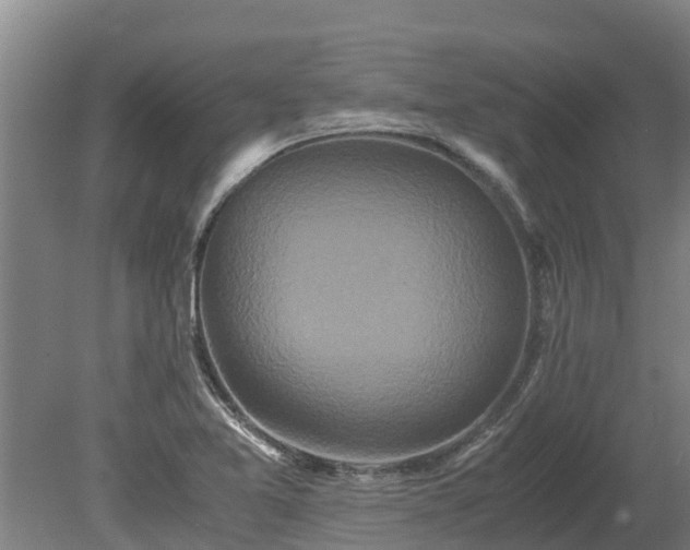 X0000080121365200612151702