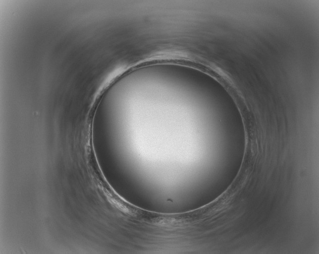 X0000080121366200612151701