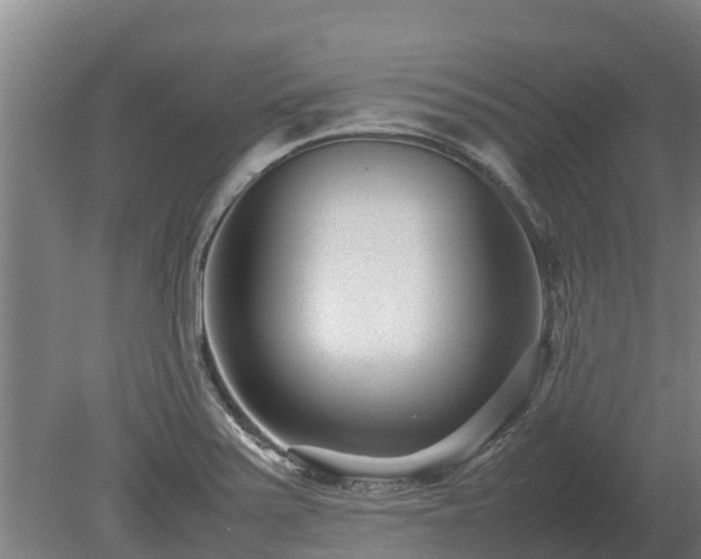 X0000080121371200612151701