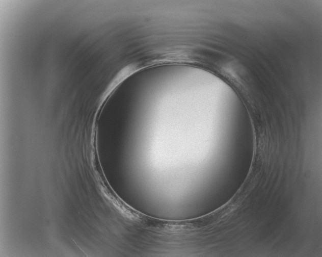 X0000080121378200612151701