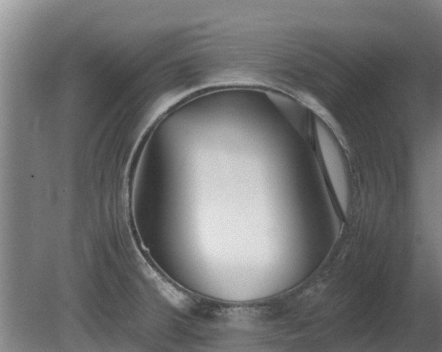 X0000080121380200612151701