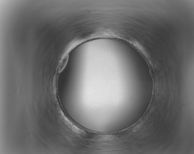 X0000080121382200612151701