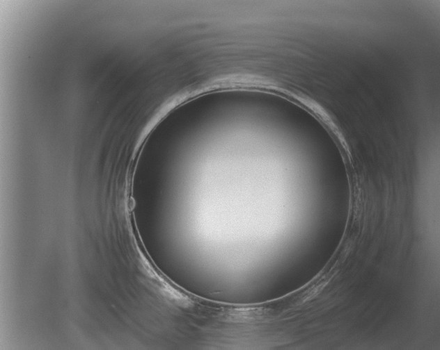 X0000080121390200612151701