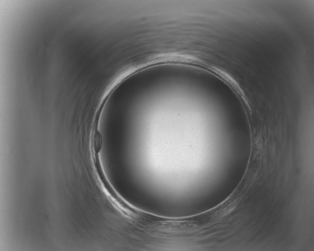 X0000080121391200612151701