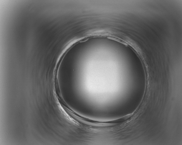X0000080121392200612151701