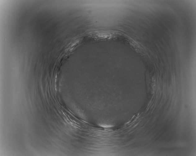 X0000080121394200612151700