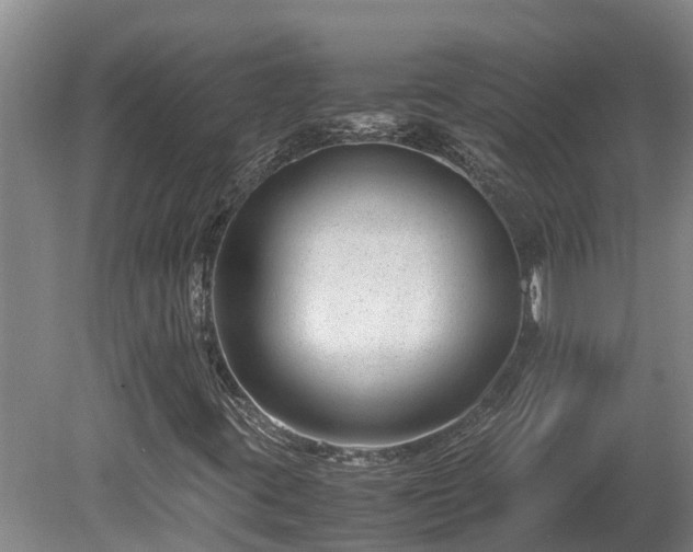 X0000080121395200612151700