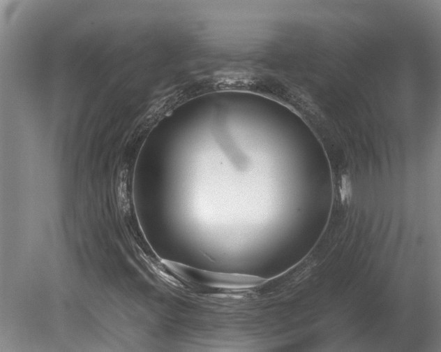 X0000080121396200612151700