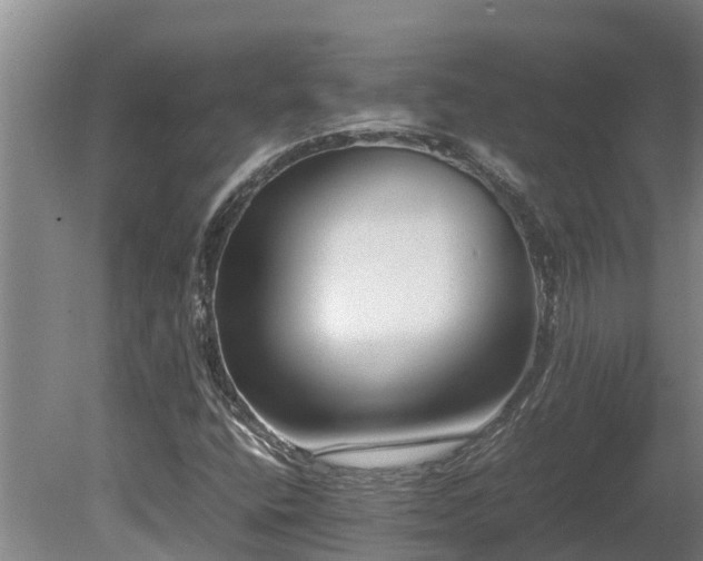 X0000080121400200612151700