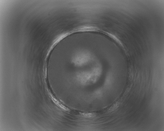 X0000080121413200612151701