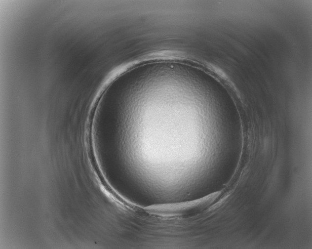X0000080121421200612151701