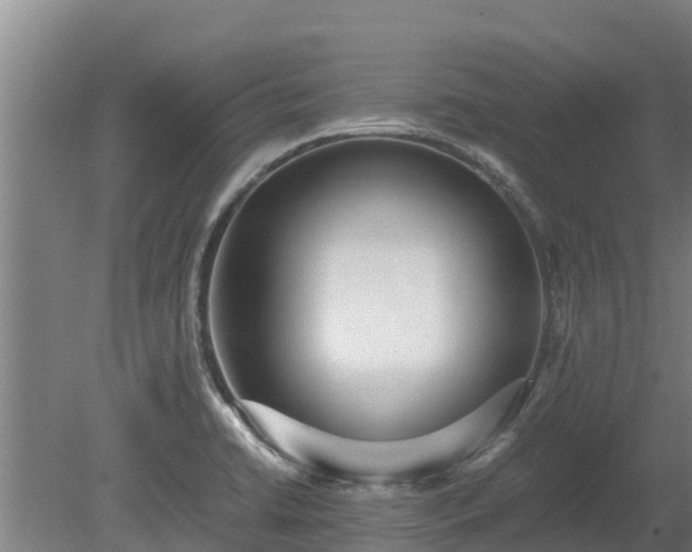 X0000080121422200612151701