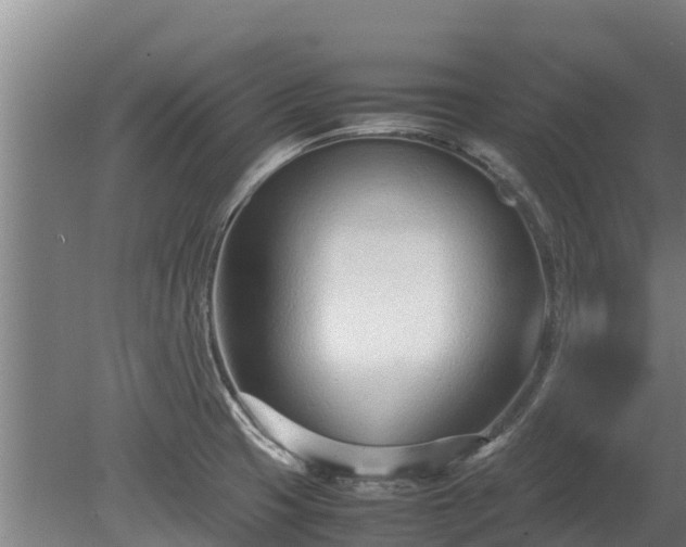 X0000080121425200612151701