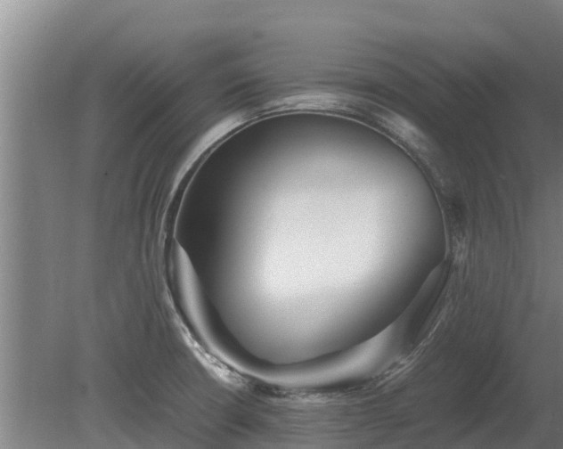 X0000080121426200612151701