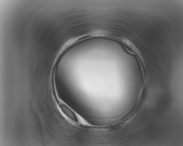 X0000080121429200612151701
