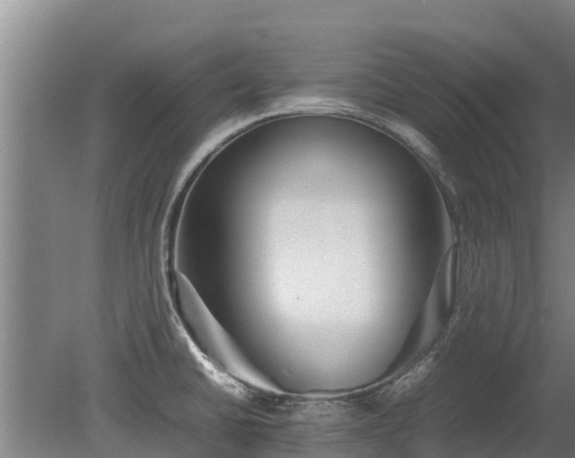X0000080121430200612151701