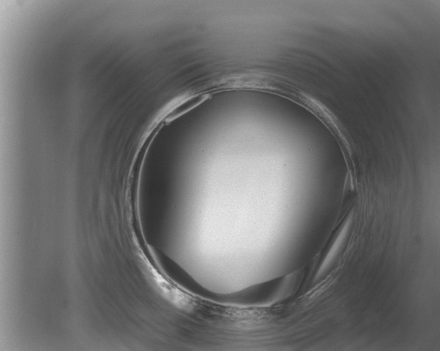 X0000080121434200612151701