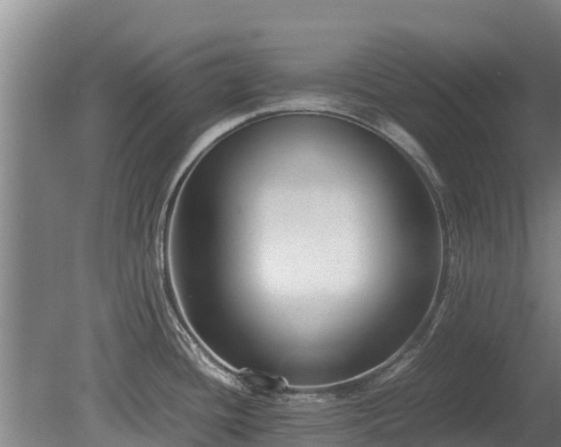 X0000080121436200612151701