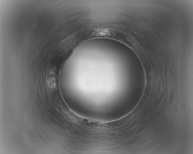 X0000080121442200612151700