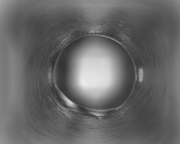 X0000080121444200612151700