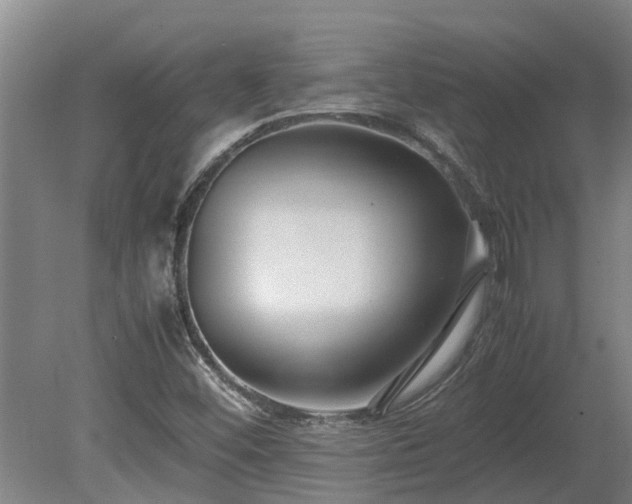 X0000080121452200612151700