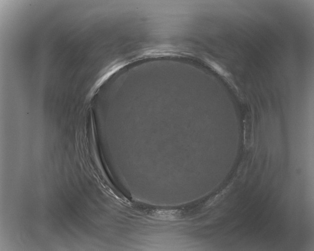 X0000080121453200612151700