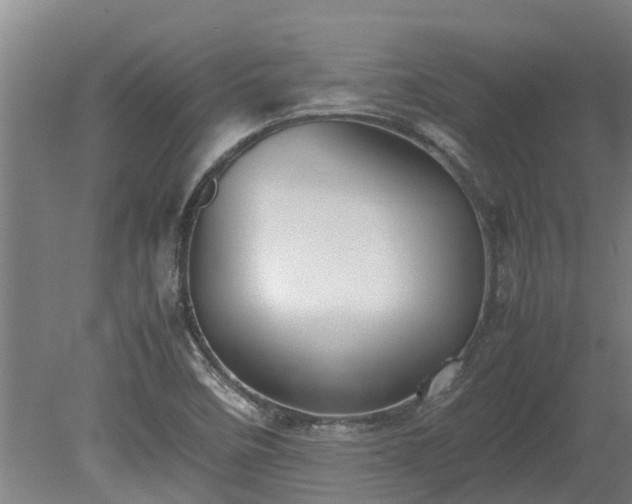 X0000080121458200612151700