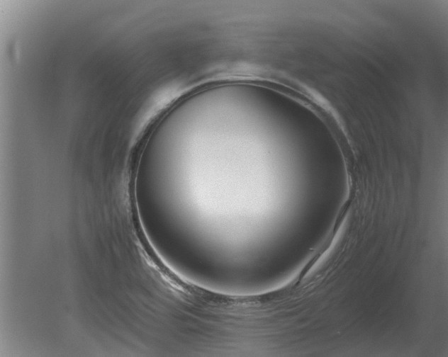 X0000080121464200612151700