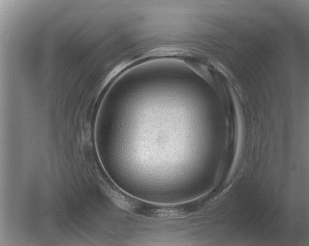 X0000080121465200612151700