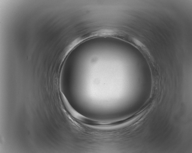 X0000080121473200612151700