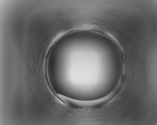 X0000080121477200612151700