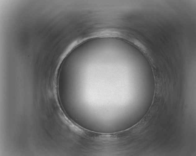 X0000080121478200612151700