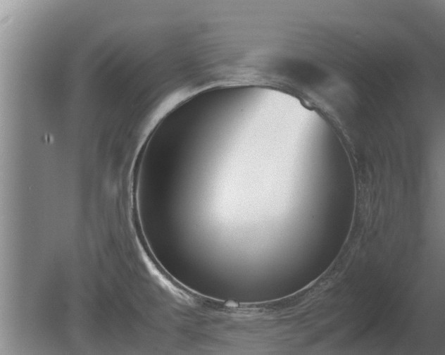 X0000080121479200612151700