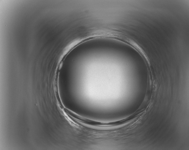 X0000080121485200612151659