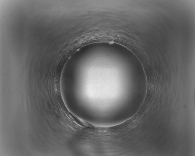 X0000080121490200612151659