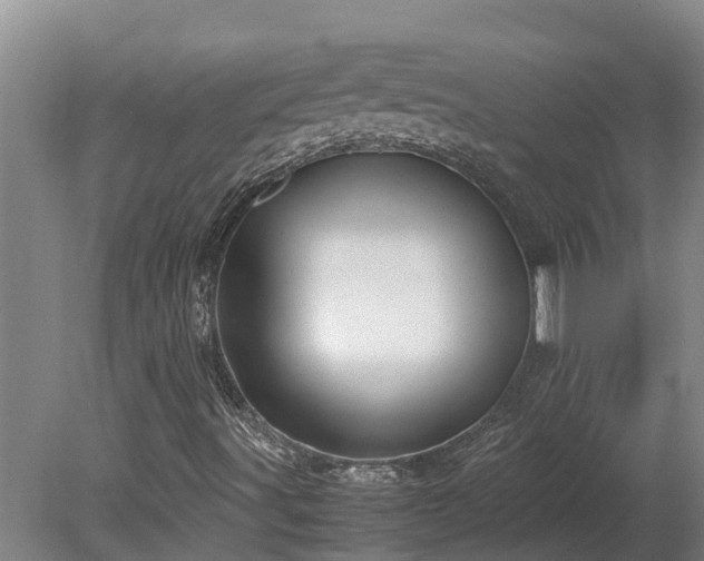 X0000080121491200612151659