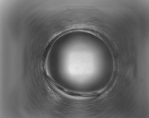 X0000080121497200612151659