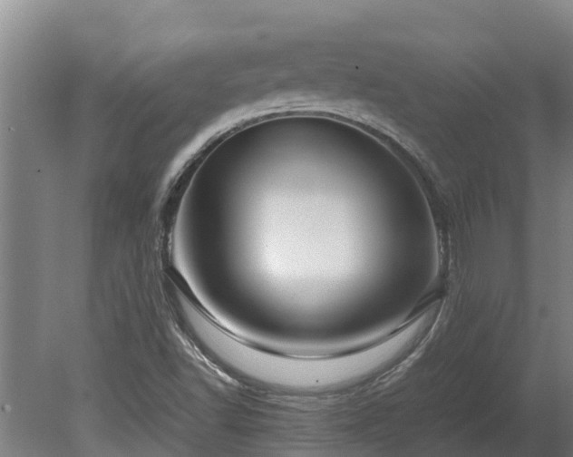 X0000080121502200612151659