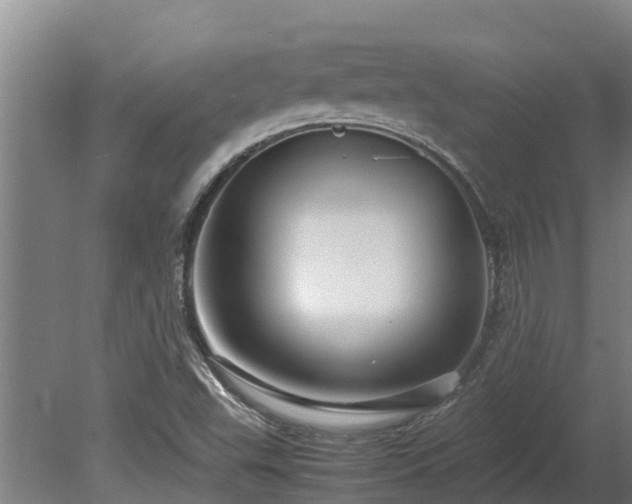 X0000080121503200612151659