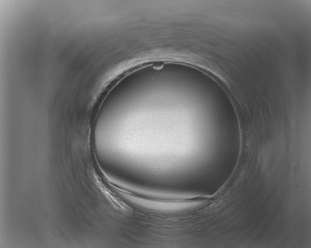 X0000080121507200612151659