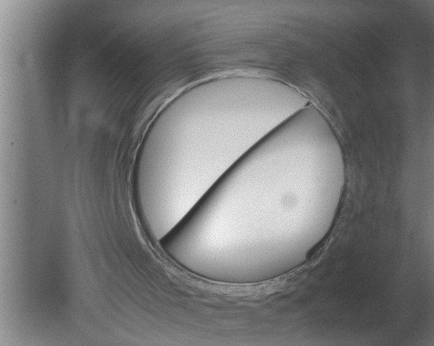 X0000080120001200612221843