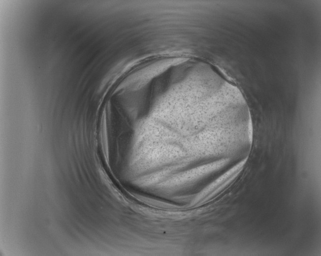 X0000080120002200612221843