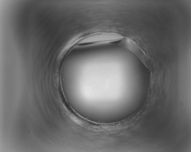 X0000080120005200612221843
