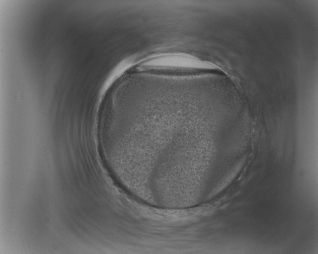 X0000080120006200612221843