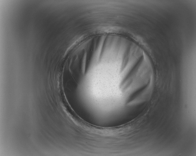 X0000080120010200612221843