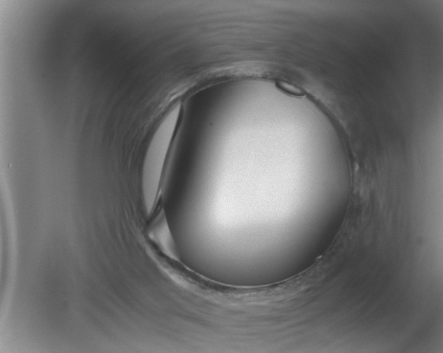 X0000080120013200612221843