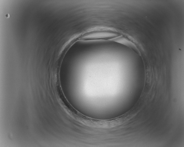 X0000080120015200612221843