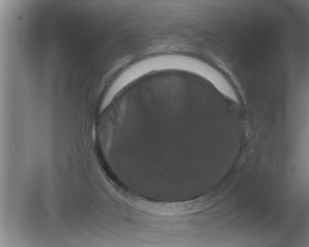 X0000080120019200612221843
